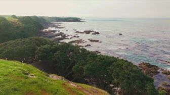 Celebrity Treasure Island S07E08 WEB H264-RBB