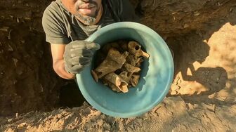 Secrets of the Dead S24E01 WEB H264-RBB